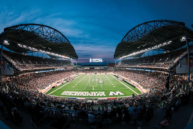 体能管理与 体能管理与